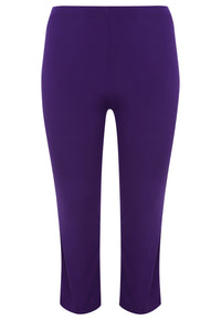 Tregging DOLCE - purple - #4